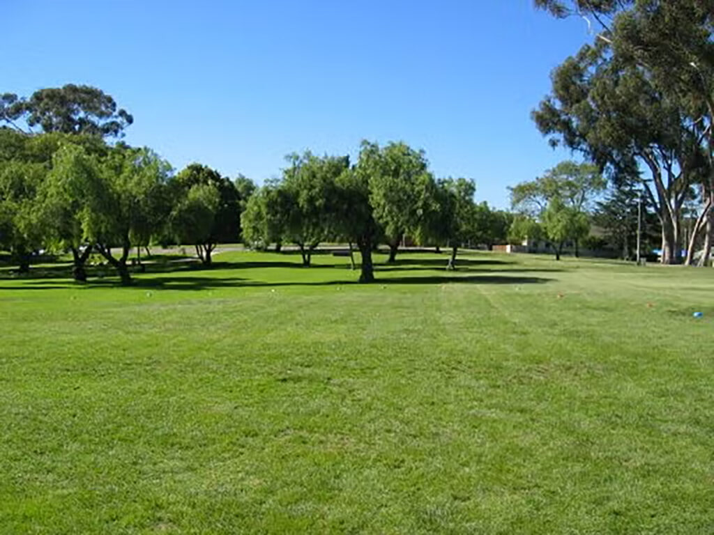 A wide, open grassy field with scattered trees under a clear blue sky. The scene is bright and sunny, with vibrant green grass and leafy trees providing shade.